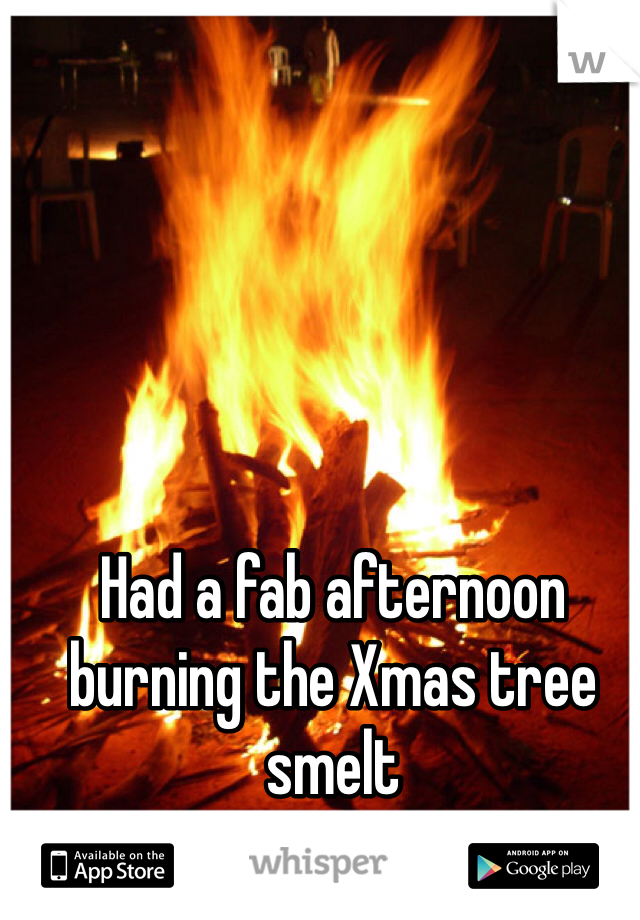 Had a fab afternoon 
burning the Xmas tree smelt 
and sounded good :) 