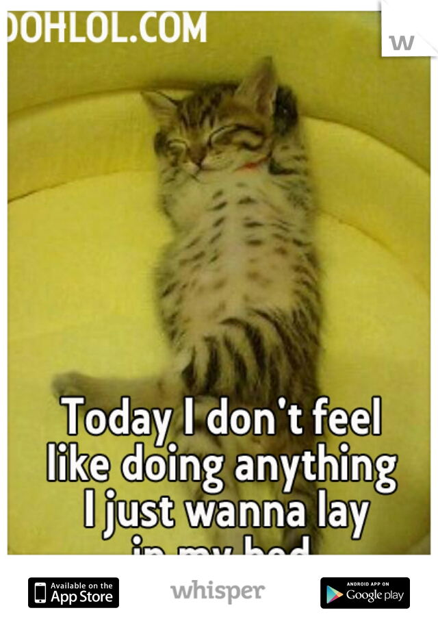 I just wanna lay in my bed all day! 