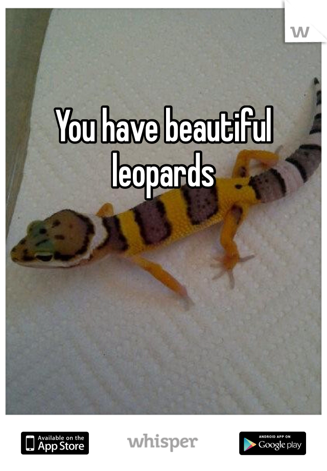 You have beautiful leopards 