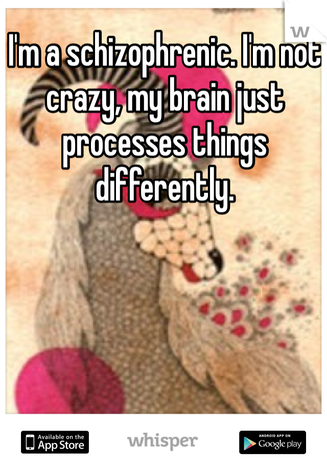 I'm a schizophrenic. I'm not crazy, my brain just processes things differently.