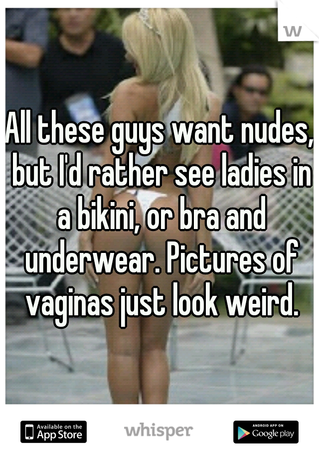 All these guys want nudes, but I'd rather see ladies in a bikini, or bra and underwear. Pictures of vaginas just look weird.