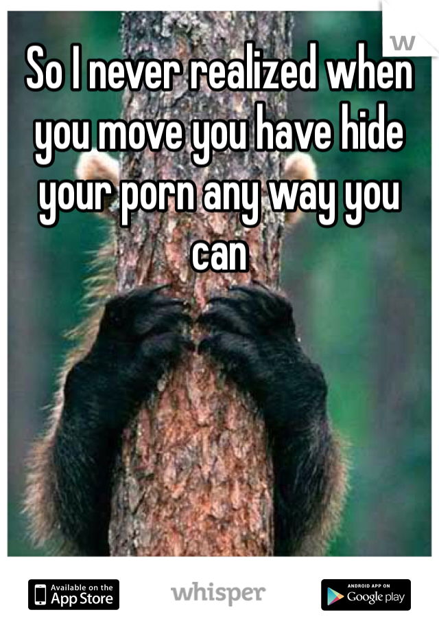 So I never realized when you move you have hide your porn any way you can