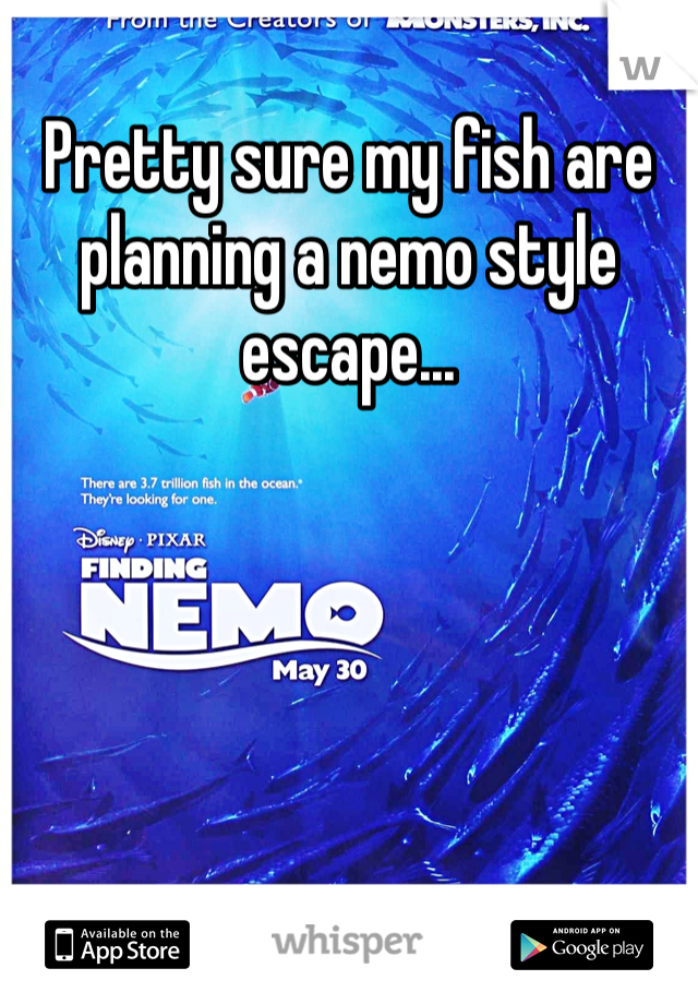 Pretty sure my fish are planning a nemo style escape...