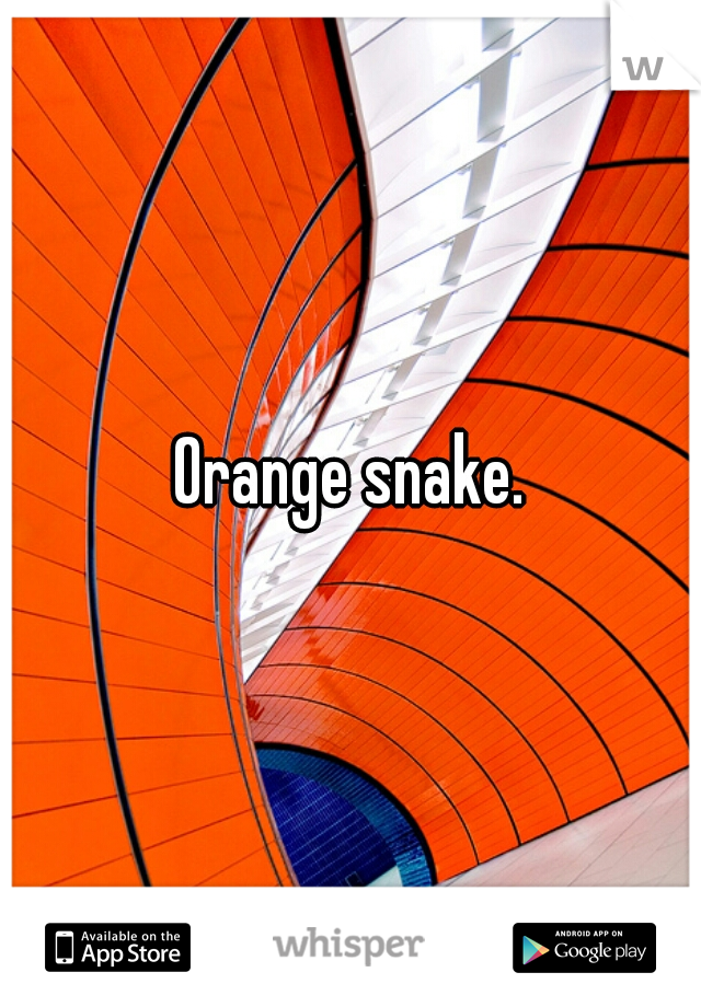 Orange snake.