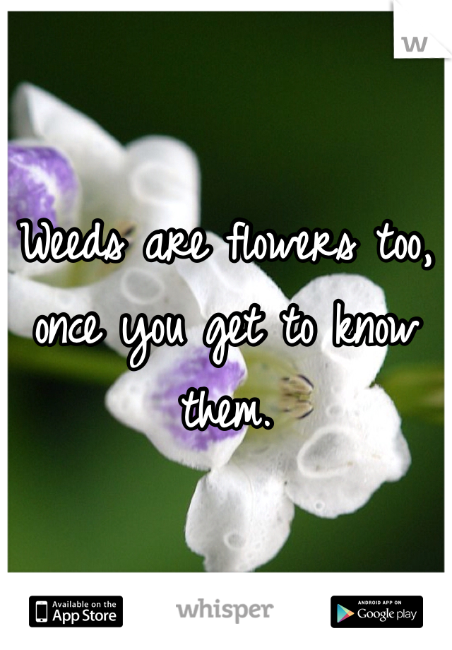 Weeds are flowers too, once you get to know them.