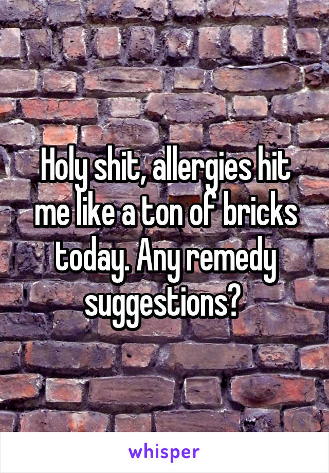 Holy shit, allergies hit me like a ton of bricks today. Any remedy suggestions? 