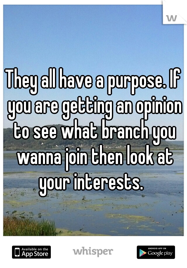 They all have a purpose. If you are getting an opinion to see what branch you wanna join then look at your interests.  