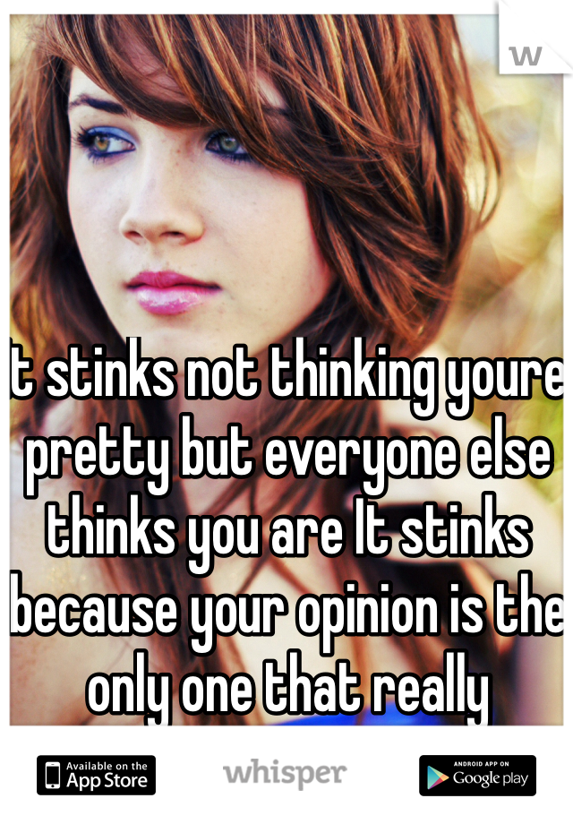 It stinks not thinking youre pretty but everyone else thinks you are It stinks because your opinion is the only one that really matters 