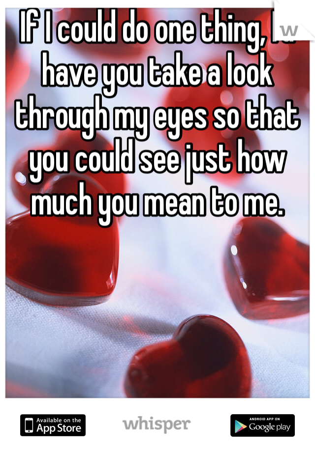 If I could do one thing, I'd have you take a look through my eyes so that you could see just how much you mean to me. 