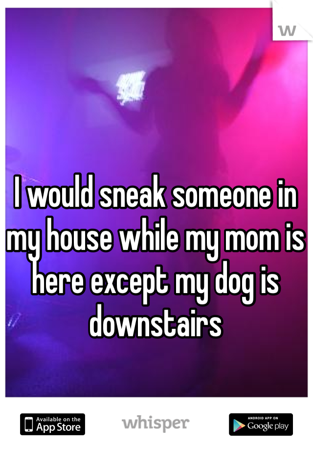 I would sneak someone in my house while my mom is here except my dog is downstairs 