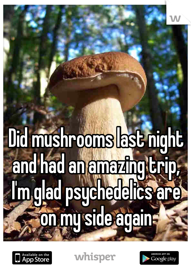 Did mushrooms last night and had an amazing trip, I'm glad psychedelics are on my side again    