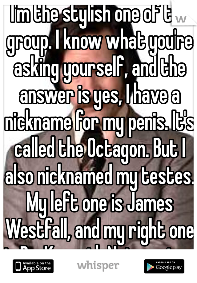 I'm the stylish one of the group. I know what you're asking yourself, and the answer is yes, I have a nickname for my penis. It's called the Octagon. But I also nicknamed my testes. My left one is James Westfall, and my right one is Dr. Kenneth Noisewater. 