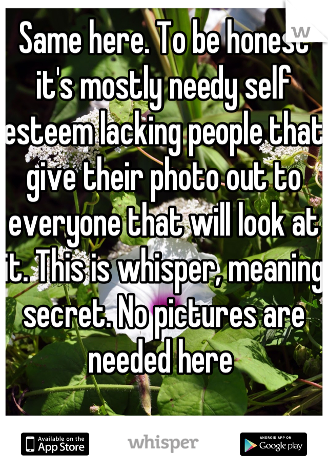 Same here. To be honest it's mostly needy self esteem lacking people that give their photo out to everyone that will look at it. This is whisper, meaning secret. No pictures are needed here 