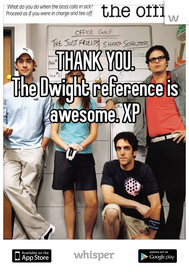 THANK YOU.
The Dwight reference is awesome. XP