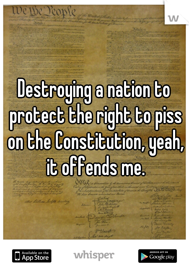 Destroying a nation to protect the right to piss on the Constitution, yeah, it offends me.