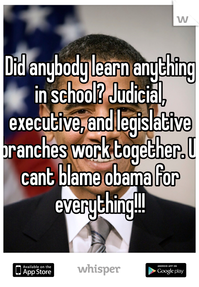 Did anybody learn anything in school? Judicial, executive, and legislative branches work together. U cant blame obama for everything!!!