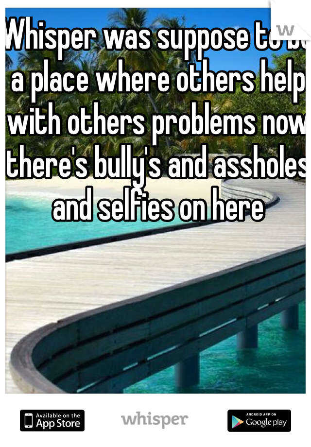 Whisper was suppose to be a place where others help with others problems now there's bully's and assholes and selfies on here 