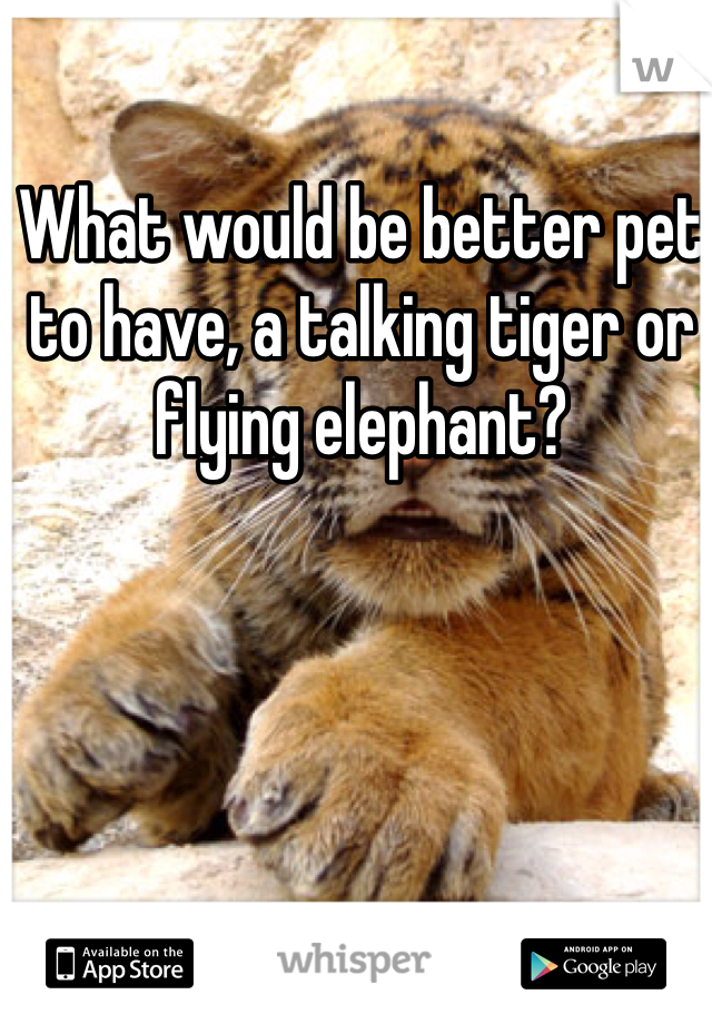 What would be better pet to have, a talking tiger or flying elephant? 