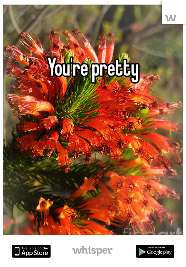 You're pretty