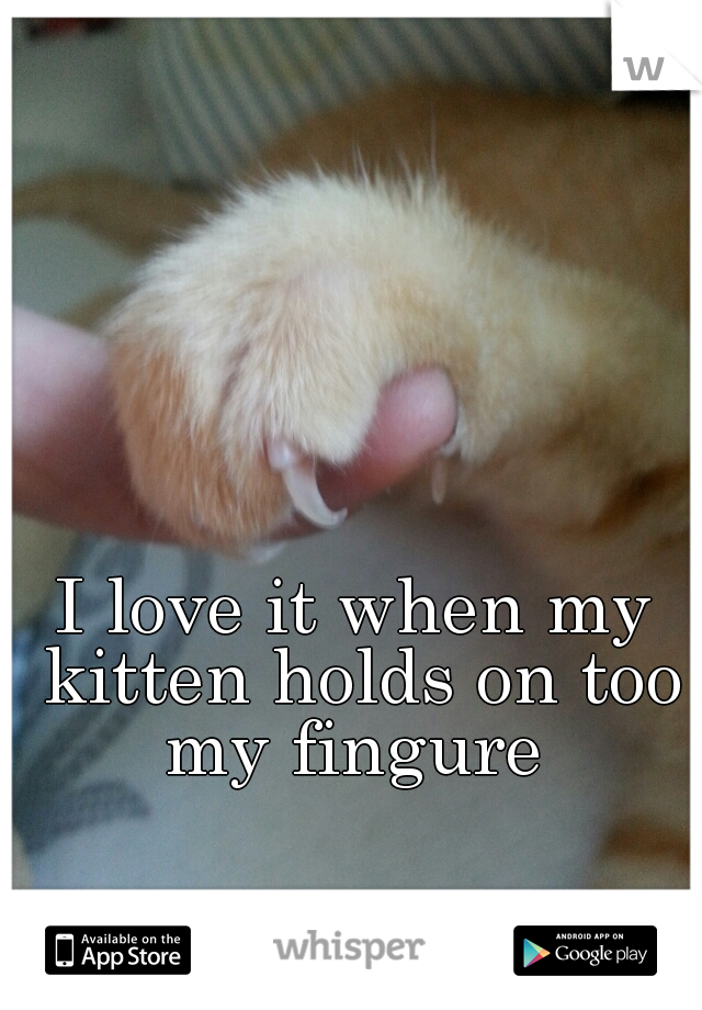 I love it when my kitten holds on too my fingure 