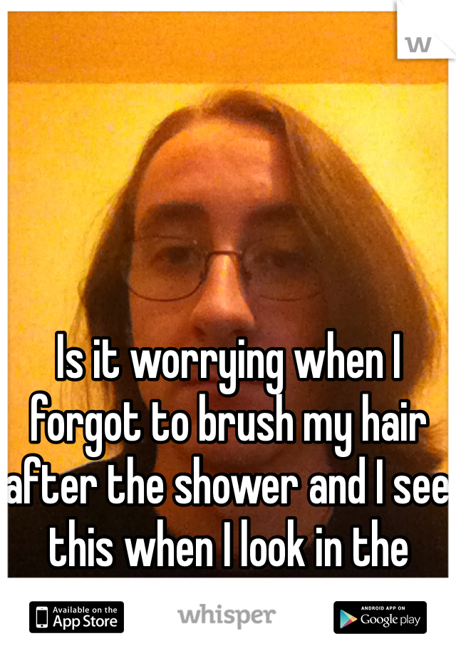 Is it worrying when I forgot to brush my hair after the shower and I see this when I look in the mirror.. O.o