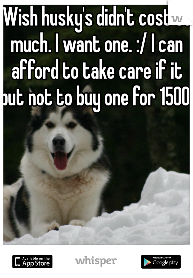 Wish husky's didn't cost so much. I want one. :/ I can afford to take care if it but not to buy one for 1500. 