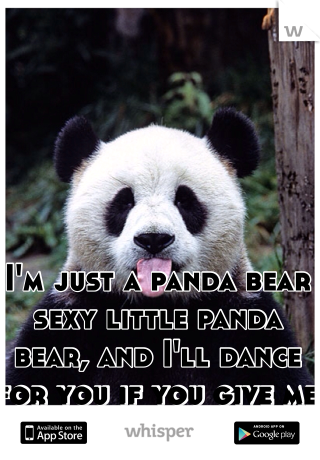 I'm just a panda bear sexy little panda bear, and I'll dance for you if you give me a quarter