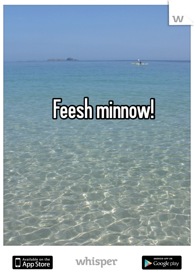 Feesh minnow!