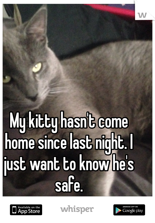 My kitty hasn't come home since last night. I just want to know he's safe. 