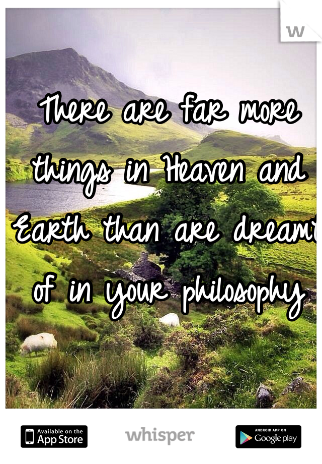 There are far more things in Heaven and Earth than are dreamt of in your philosophy 