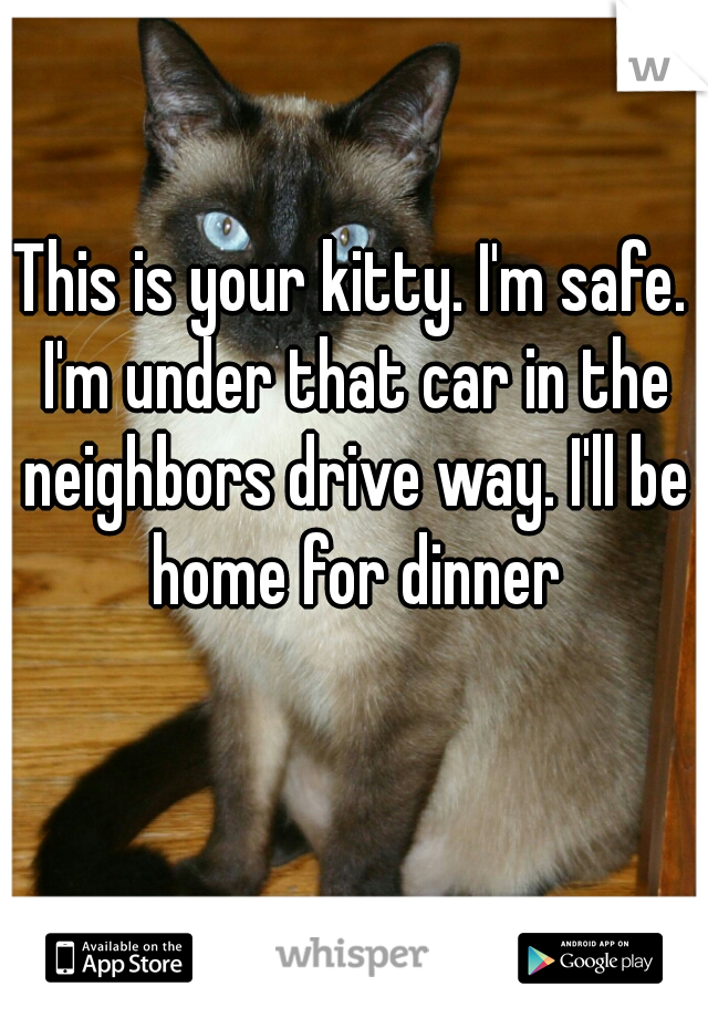 This is your kitty. I'm safe. I'm under that car in the neighbors drive way. I'll be home for dinner