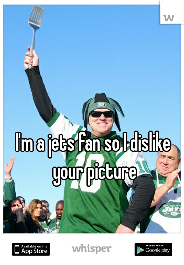 I'm a jets fan so I dislike your picture