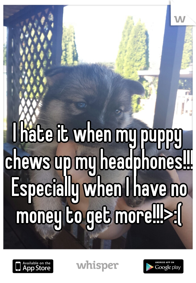 I hate it when my puppy chews up my headphones!!! Especially when I have no money to get more!!!>:(