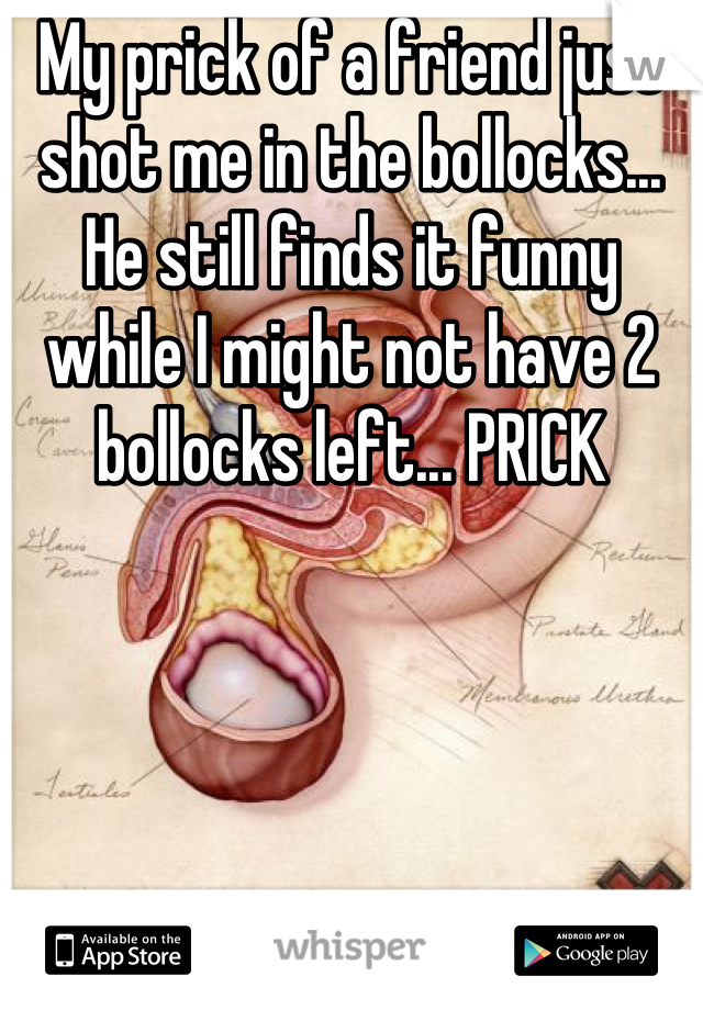 My prick of a friend just shot me in the bollocks... He still finds it funny while I might not have 2 bollocks left... PRICK