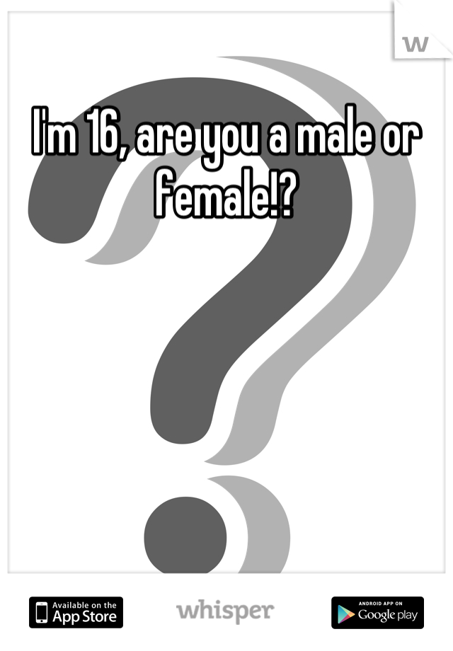 I'm 16, are you a male or female!?