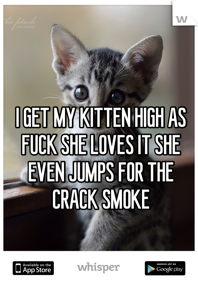 I GET MY KITTEN HIGH AS FUCK SHE LOVES IT SHE EVEN JUMPS FOR THE CRACK SMOKE