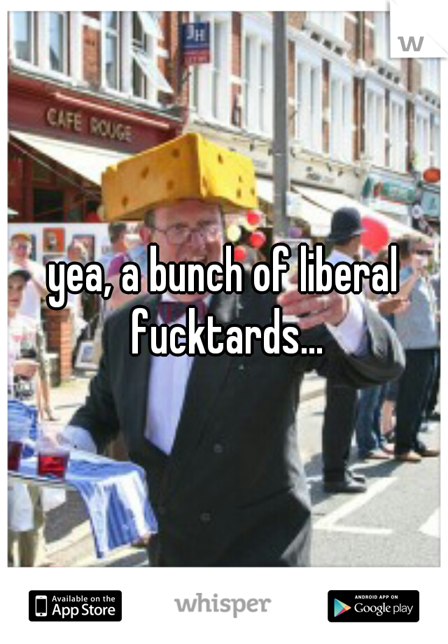 yea, a bunch of liberal fucktards...