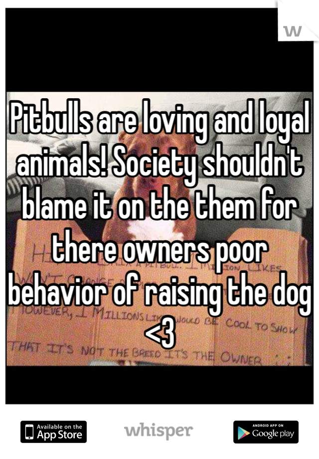 Pitbulls are loving and loyal animals! Society shouldn't blame it on the them for there owners poor behavior of raising the dog <3