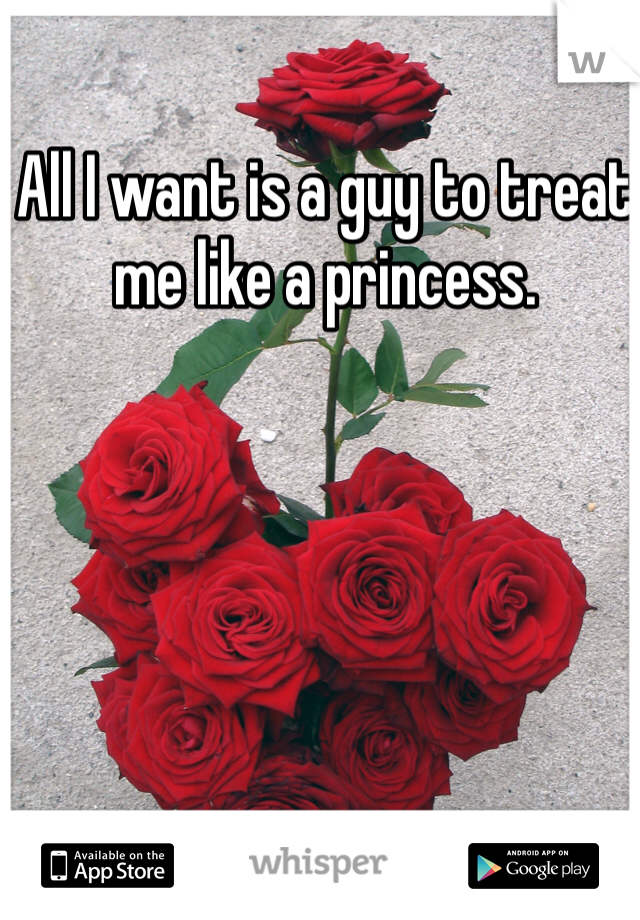 All I want is a guy to treat me like a princess. 