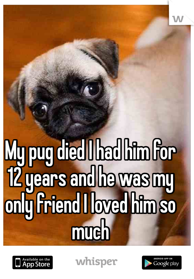 My pug died I had him for 12 years and he was my only friend I loved him so much 