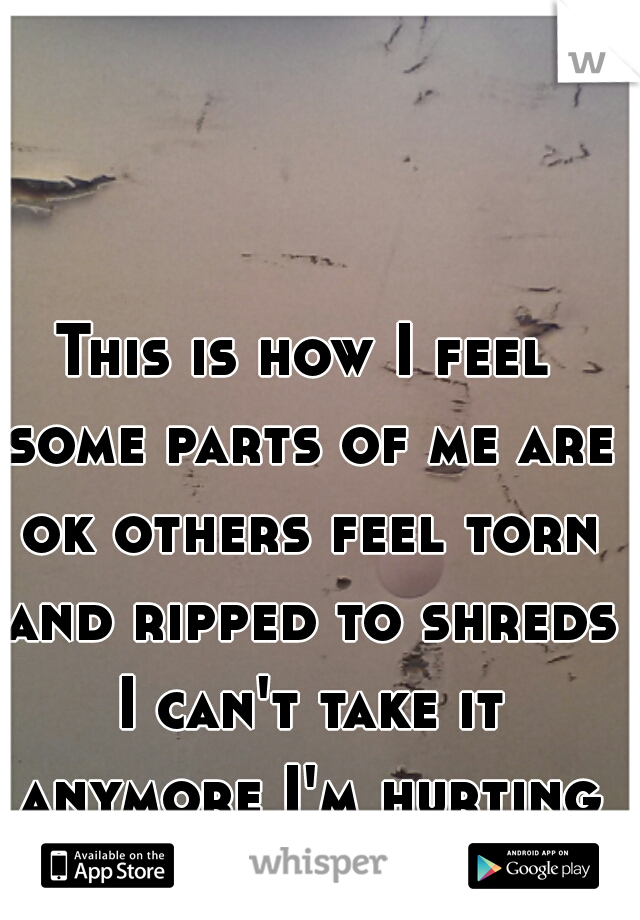 This is how I feel some parts of me are ok others feel torn and ripped to shreds I can't take it anymore I'm hurting more than ever 