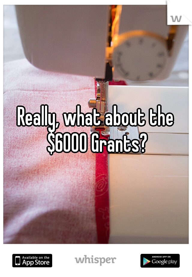 Really, what about the $6000 Grants?