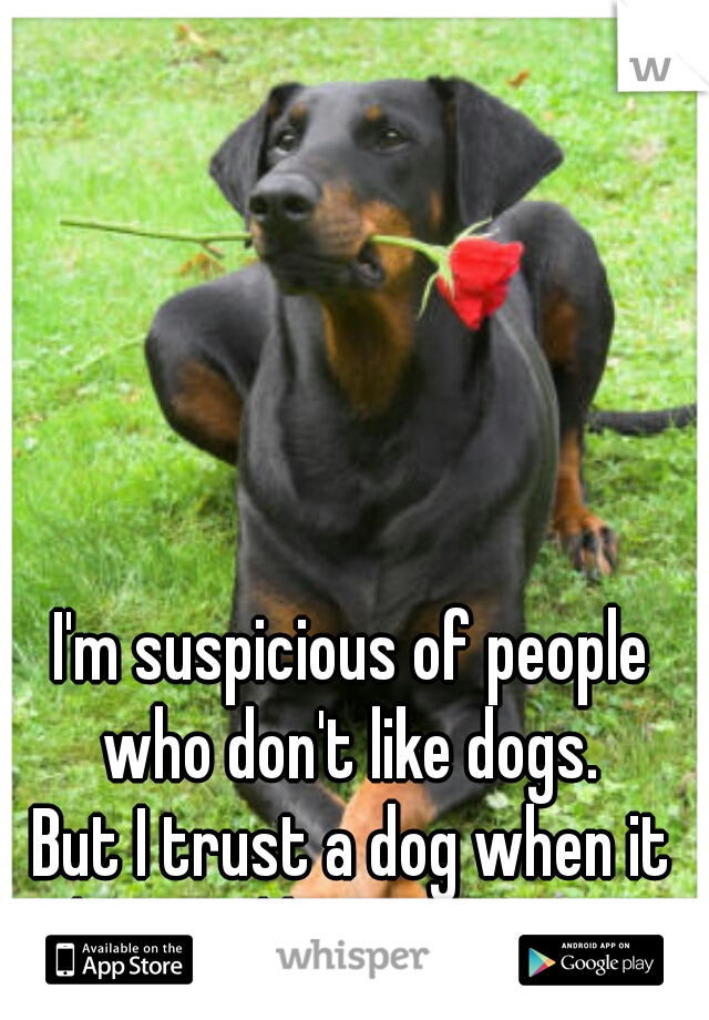 I'm suspicious of people who don't like dogs. 




But I trust a dog when it doesn't like a person.     