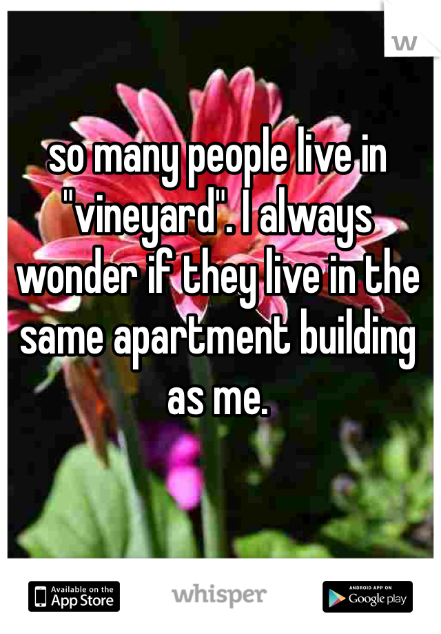 so many people live in "vineyard". I always wonder if they live in the same apartment building as me. 