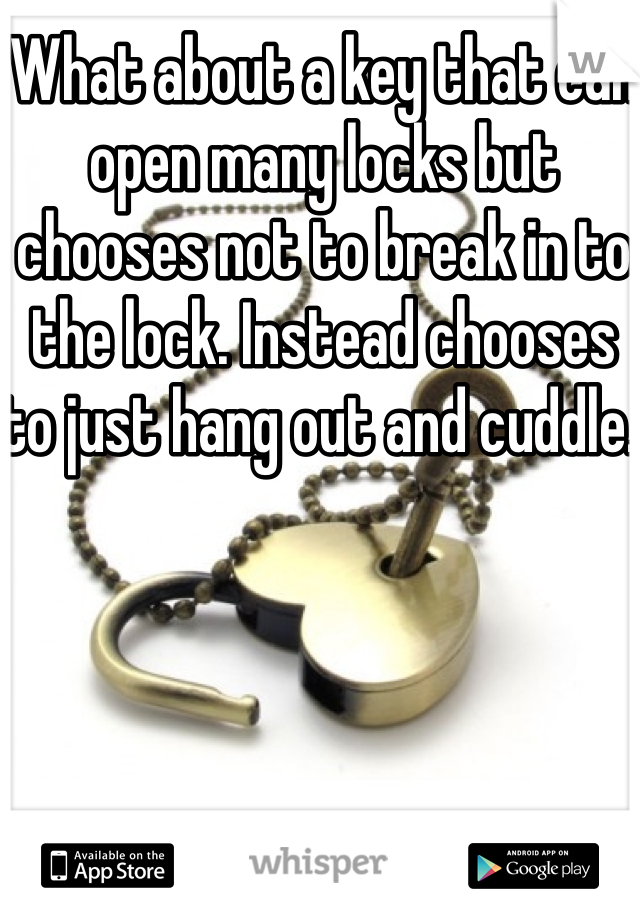 What about a key that can open many locks but chooses not to break in to the lock. Instead chooses to just hang out and cuddle. 