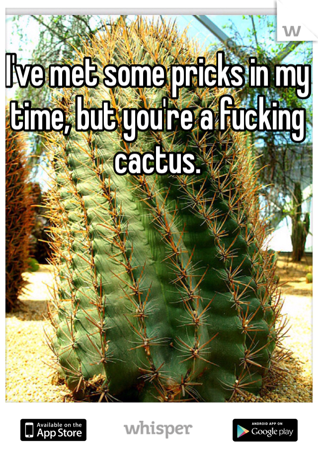 I've met some pricks in my time, but you're a fucking cactus.