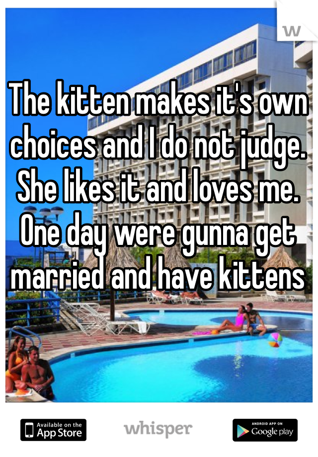 The kitten makes it's own choices and I do not judge. She likes it and loves me. One day were gunna get married and have kittens