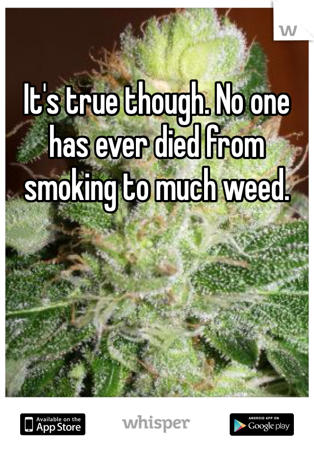 It's true though. No one has ever died from smoking to much weed. 