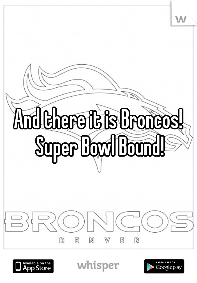 And there it is Broncos! Super Bowl Bound!