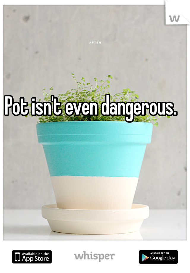 Pot isn't even dangerous. 